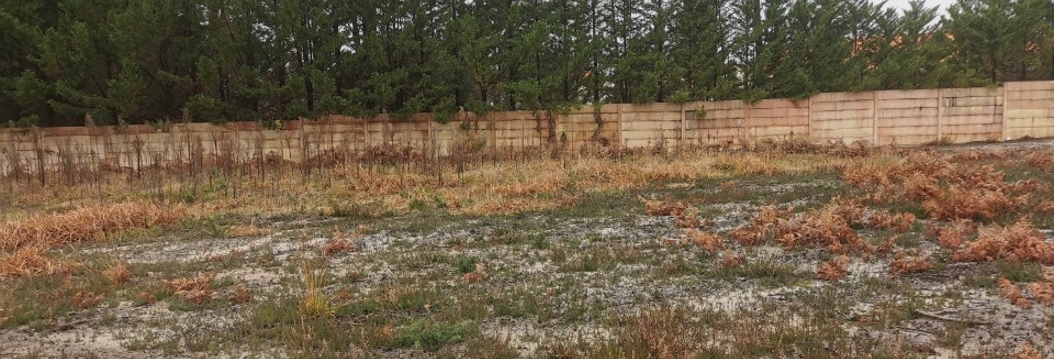 Terrain  724 m² à vendre à Biscarrosse (40600)