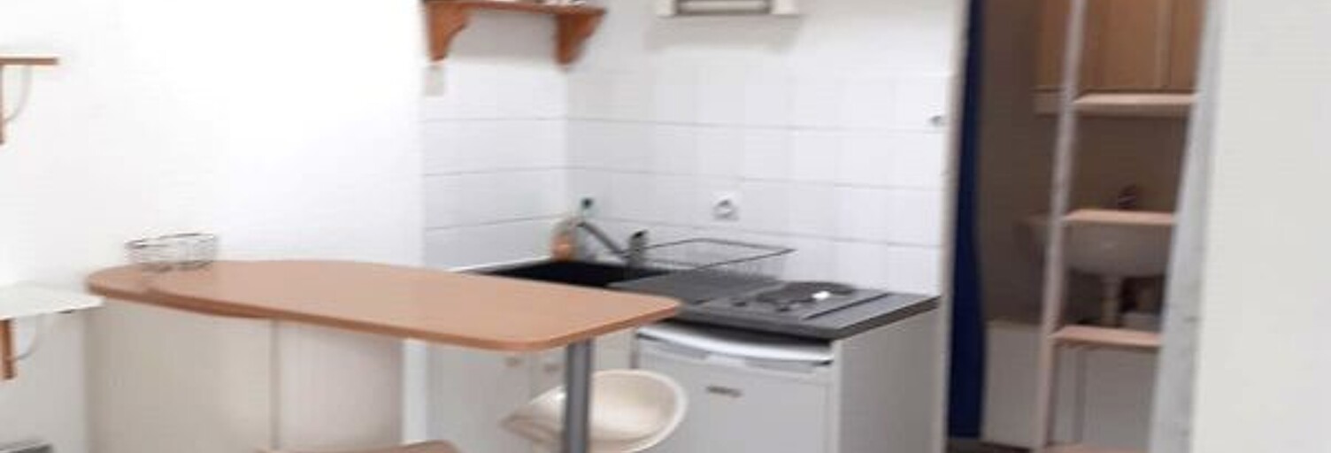 Appartement 1 Pièce 20 m² à louer à Lyon 8 (69008)