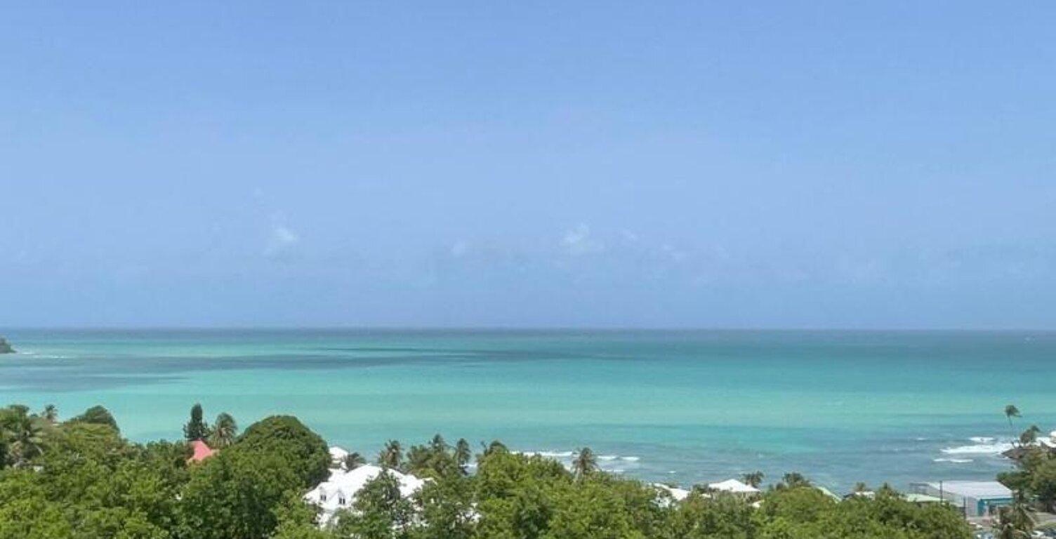 APPARTEMENT VUE MER — photo 1