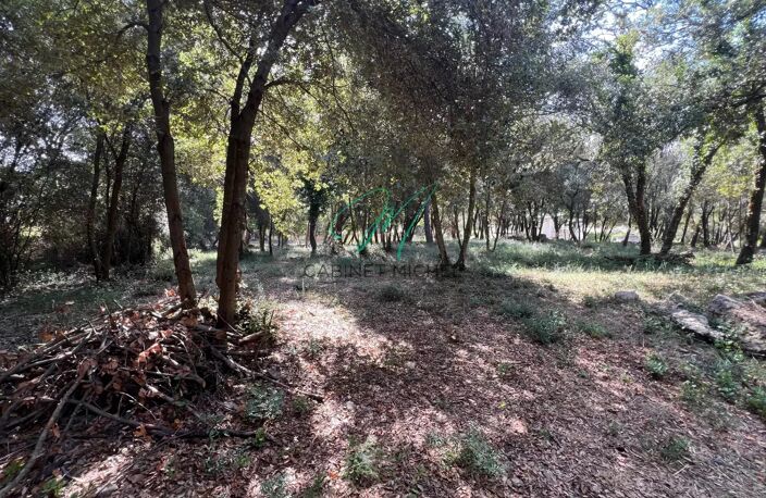 Terrain Constructible à Bois Fleuri, Biot — photo 4