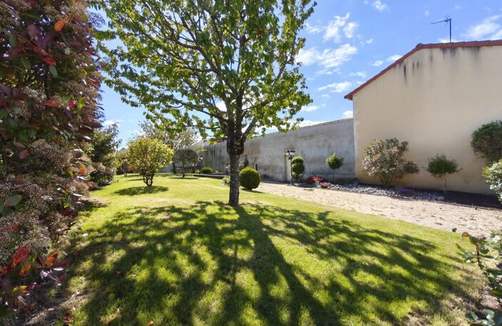 MAISON 5 CHAMBRES - VASLES — photo 3
