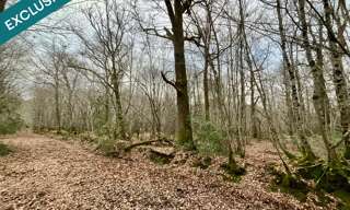 Terrain  419062 m² à vendre à Vouzeron (18330)