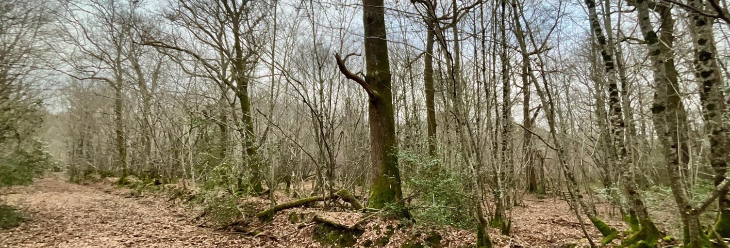 Terrain  419062 m² à vendre à Vouzeron (18330)