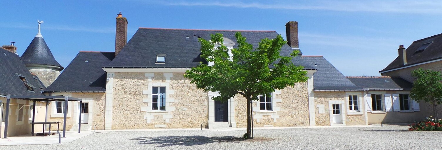 Maison 11 Pièces 346 m² à vendre à Neuillé-Pont-Pierre (37360)