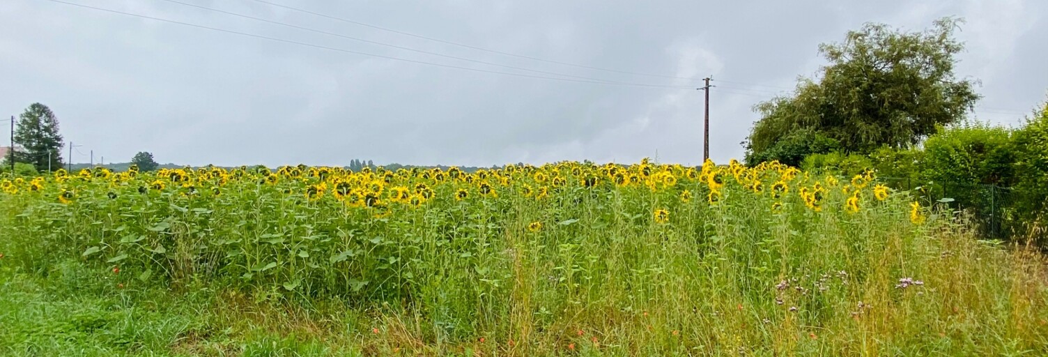 Terrain  1191 m² à vendre à Achères-la-Forêt (77760)