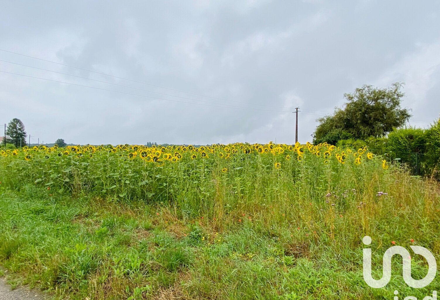 Vente Terrain à bâtir 1 191 m&sup2; — photo 1