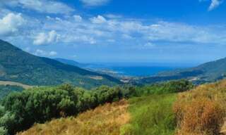 Maison 5 Pièces 150 m² à vendre à Fozzano (20143)