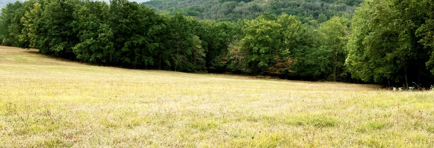 Terrain  15000 m² à vendre à Peyzac-le-Moustier (24620)