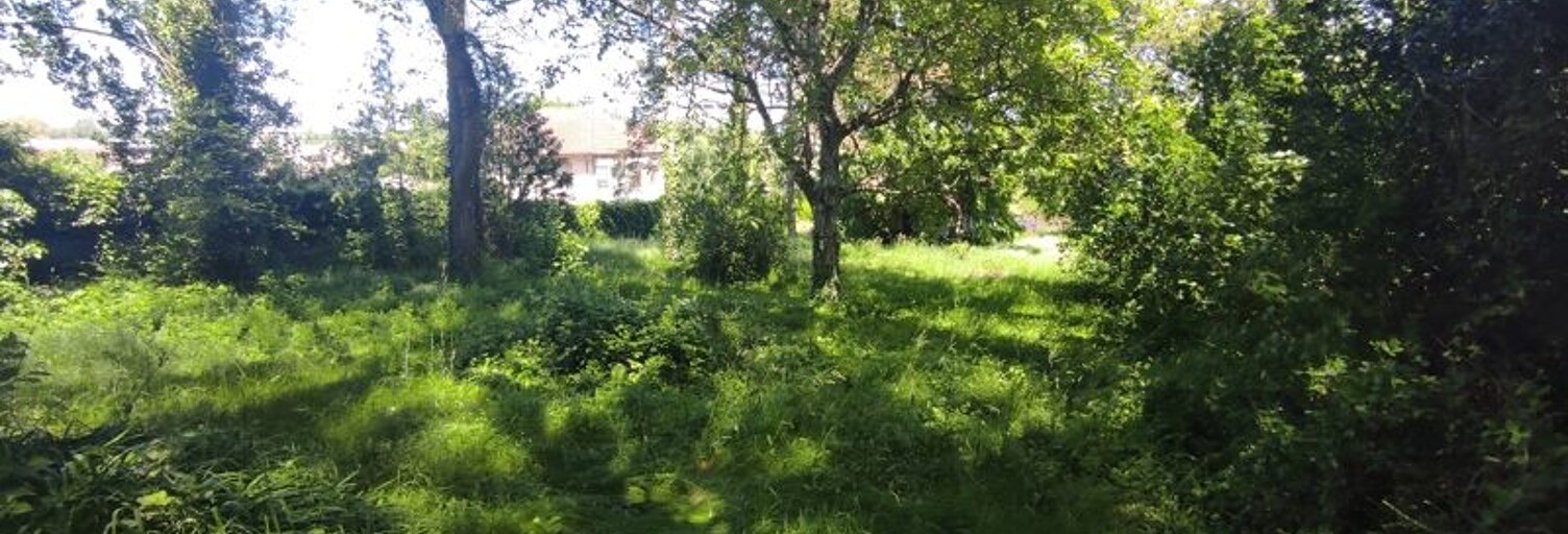 Maison 2 Pièces  m² à vendre à Mareuil-sur-Cher (41110)