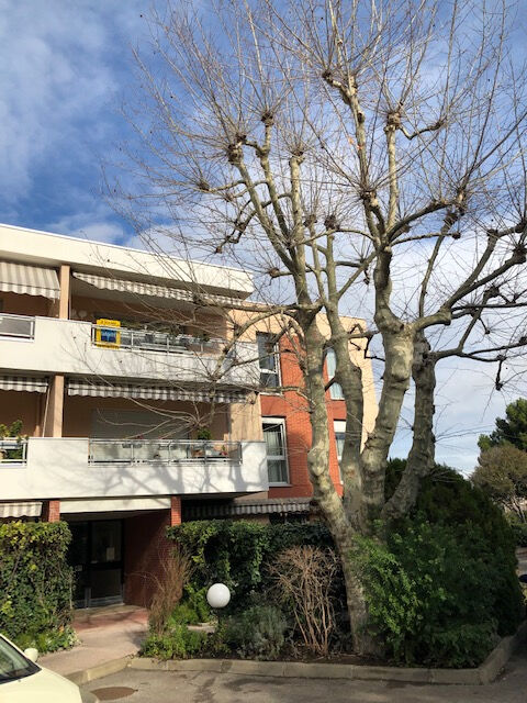 Appartement  T4 à louer Marseille 9eme 13009