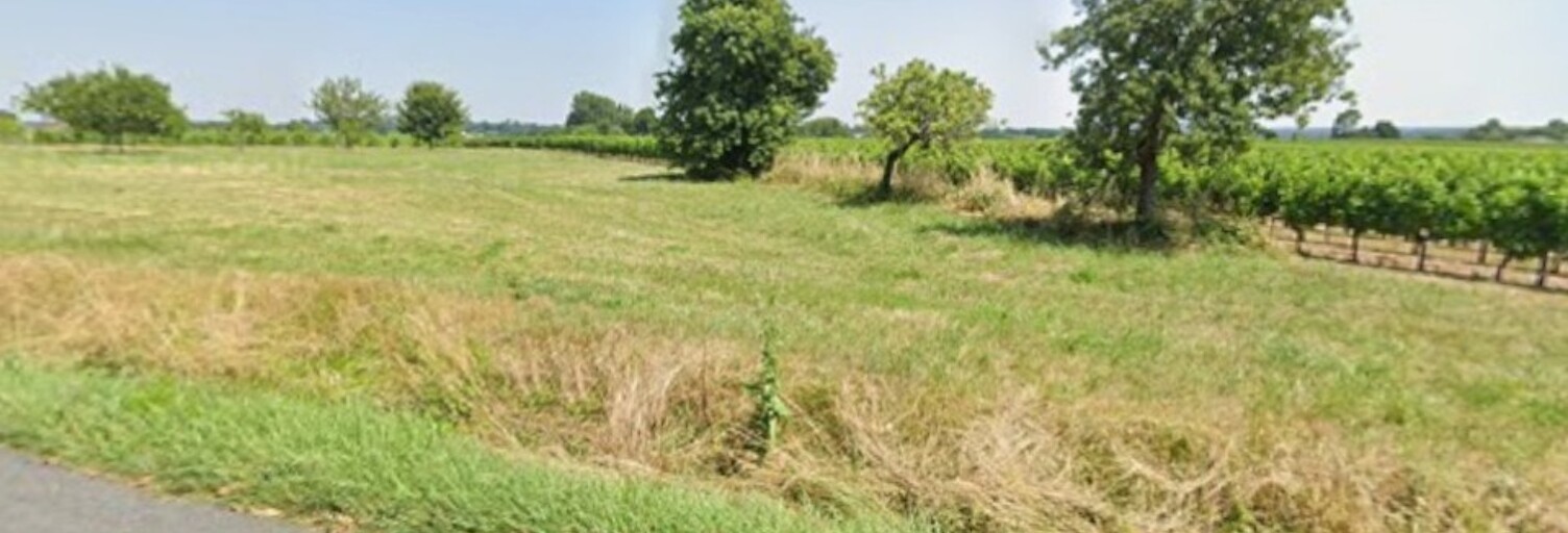 Terrain  10000 m² à vendre à Val-de-Livenne (33860)