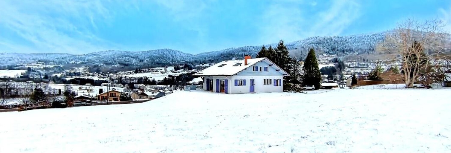 Maison 8 Pièces 160 m² à vendre à Le Syndicat (88120)