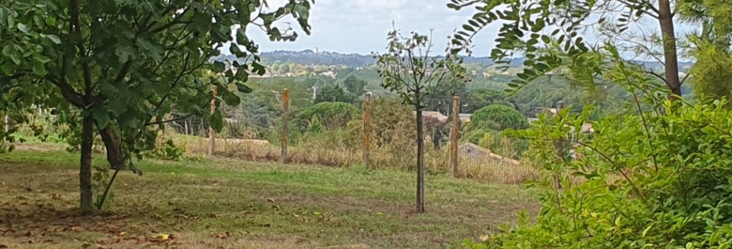 Terrain  667 m² à vendre à Asques (33240)