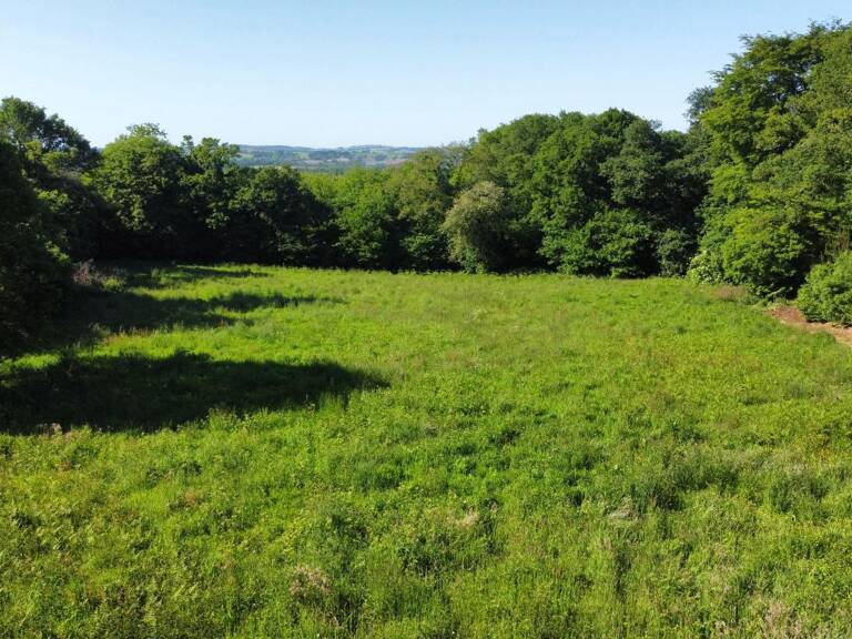 Terrain À Vendre — photo 1