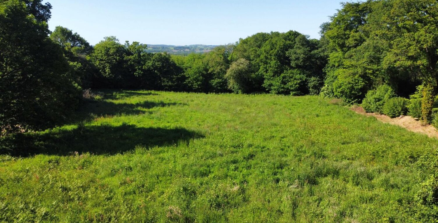 Terrain À Vendre — photo 1