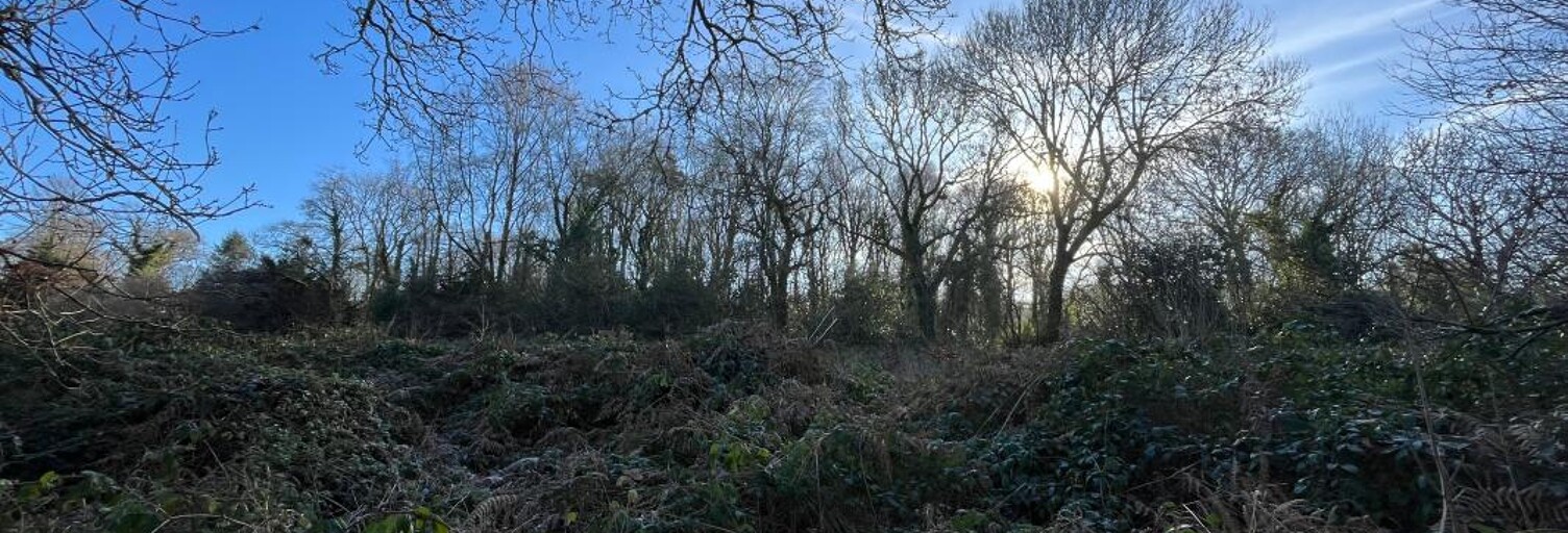 Terrain  1397 m² à vendre à Treffrin (22340)