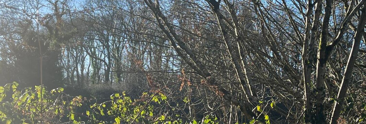 Terrain  6028 m² à vendre à Treffrin (22340)