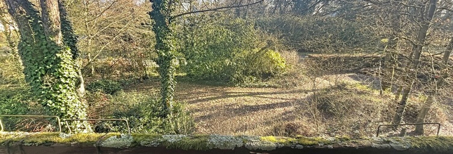 Maison 8 Pièces 211 m² à vendre à Saint-Denis-en-Val (45560)