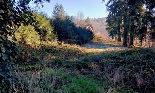 Terrain  3574 m² à vendre à Thiers (63300)