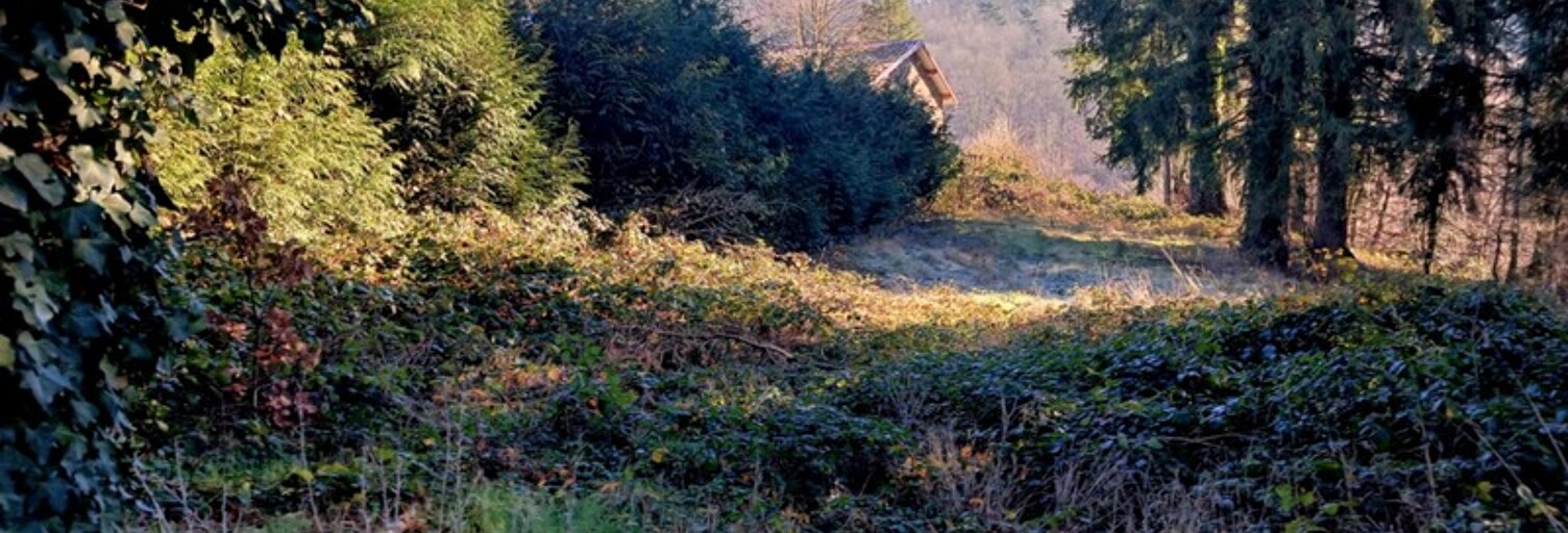 Terrain  3574 m² à vendre à Thiers (63300)