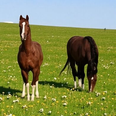 Maison 8 pièces 289970 €