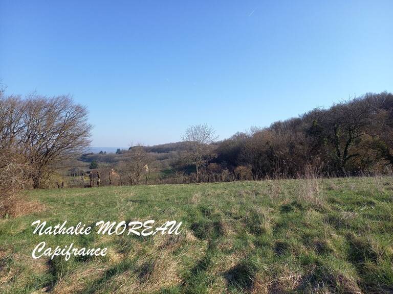 Dpt Saône et Loire (71), à vendre RECLESNE terrain avec vue dégagée — photo 1