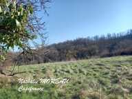 Dpt Saône et Loire (71), à vendre RECLESNE terrain avec vue dégagée — photo 2
