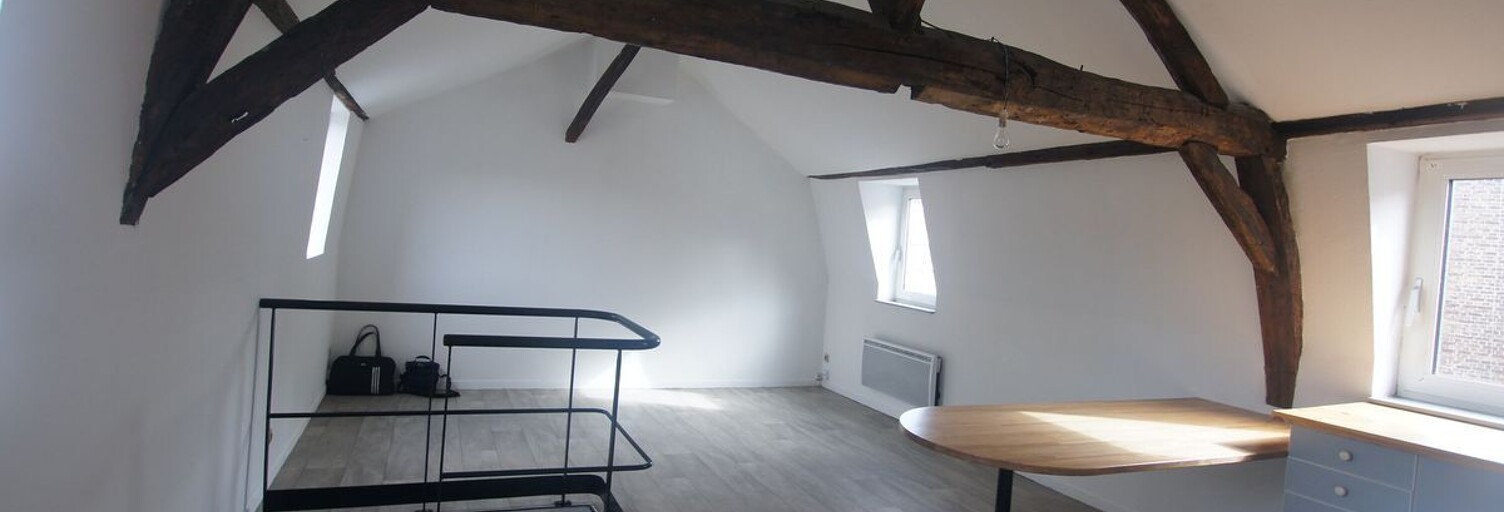 Appartement 2 Pièces 50 m² à louer à Lille (59000)