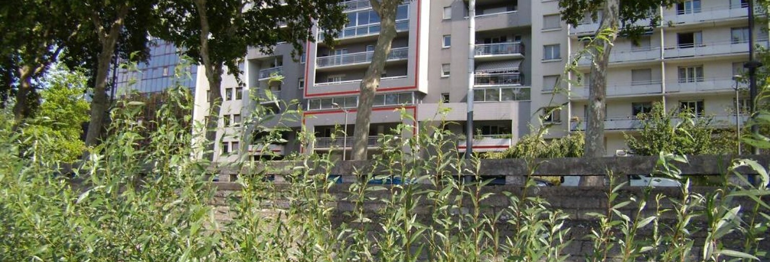 Appartement 3 Pièces 70 m² à louer à Lyon 7 (69007)