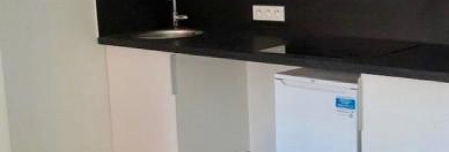 Appartement 1 Pièce 24 m² à louer à Lyon 1 (69001)