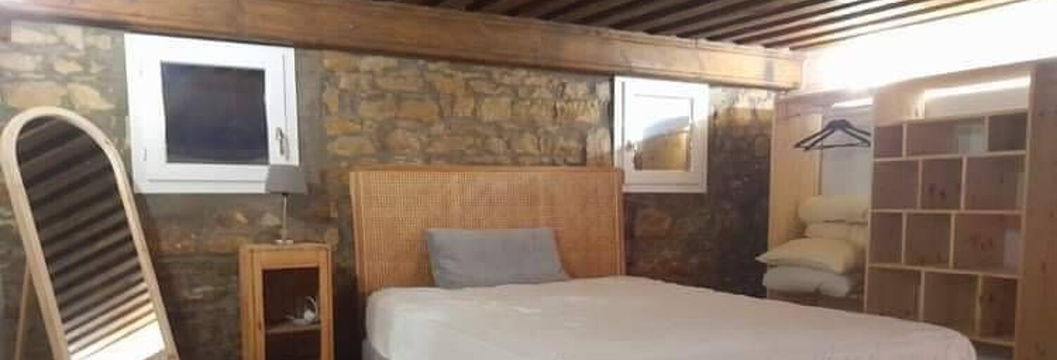 Appartement 1 Pièce 49 m² à louer à Lyon 4 (69004)