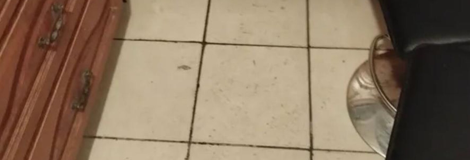 Appartement 2 Pièces 29 m² à louer à Aubervilliers (93300)