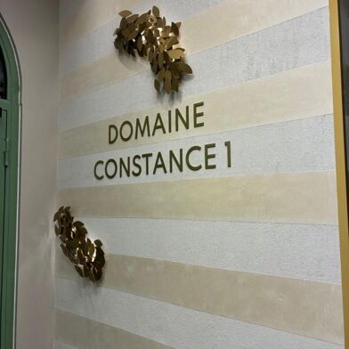 Appartement 1 pièces 990 €