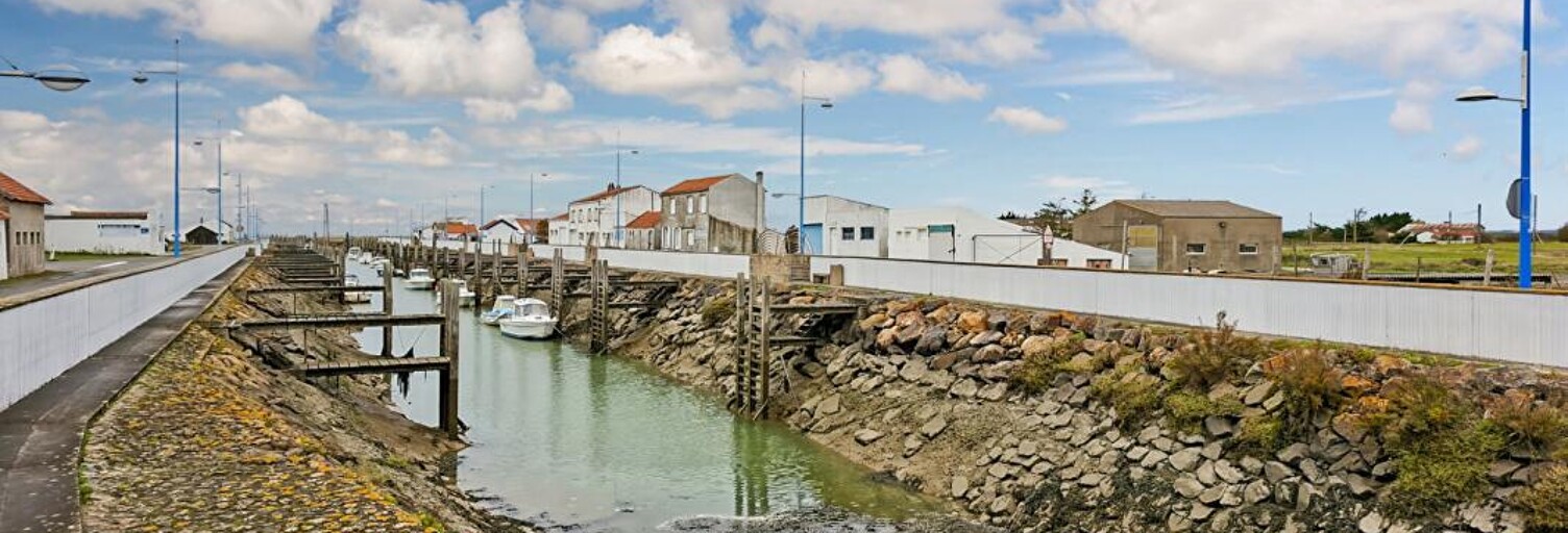 Maison 3 Pièces 65 m² à vendre à Bouin (85230)