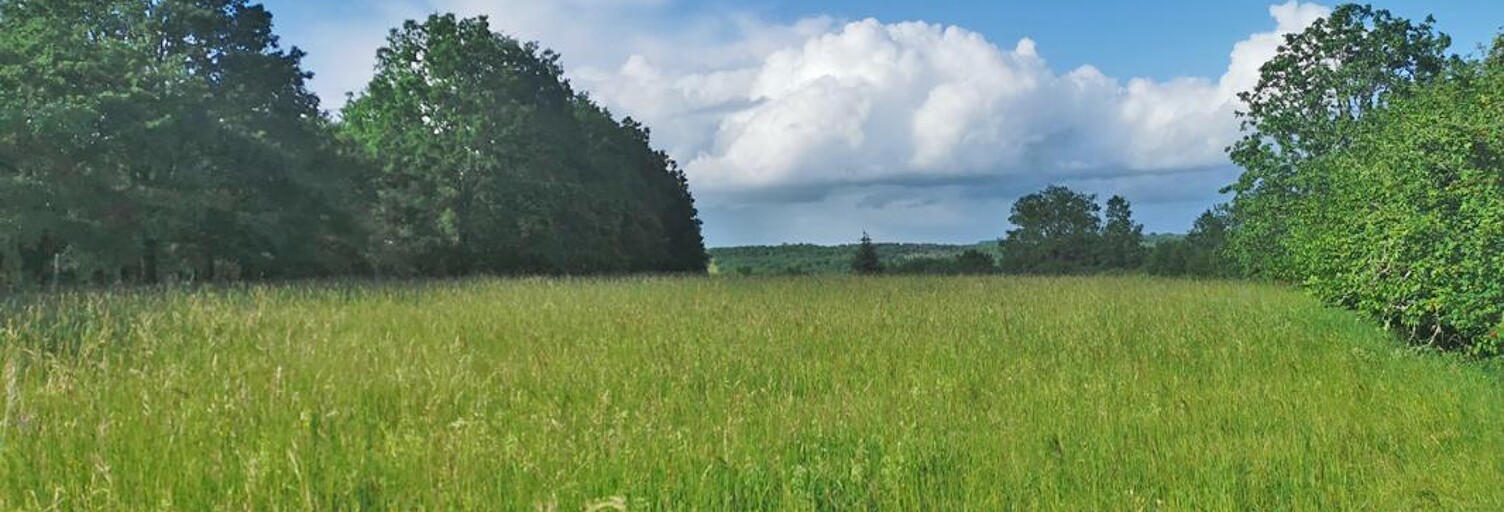 Terrain  5580 m² à vendre à La Cassagne (24120)