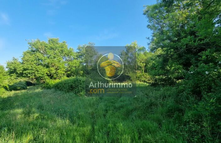 Un ensemble immobilier sur 6 hectares de jardin — photo 2