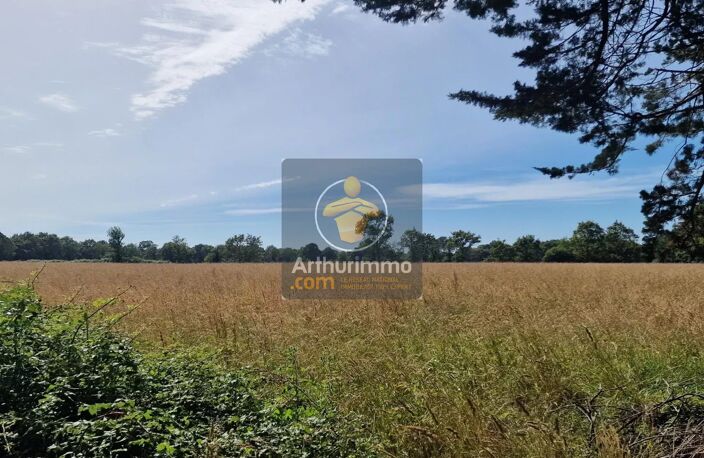Propriété avec bâtiments sur 1 hectare à plus 100m d'une habitation — photo 4