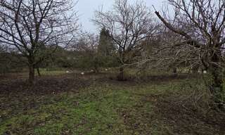 Terrain  614 m² à vendre à Savigné-l'Évêque (72460)