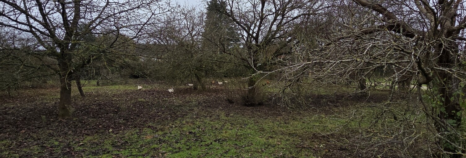 Terrain  614 m² à vendre à Savigné-l'Évêque (72460)