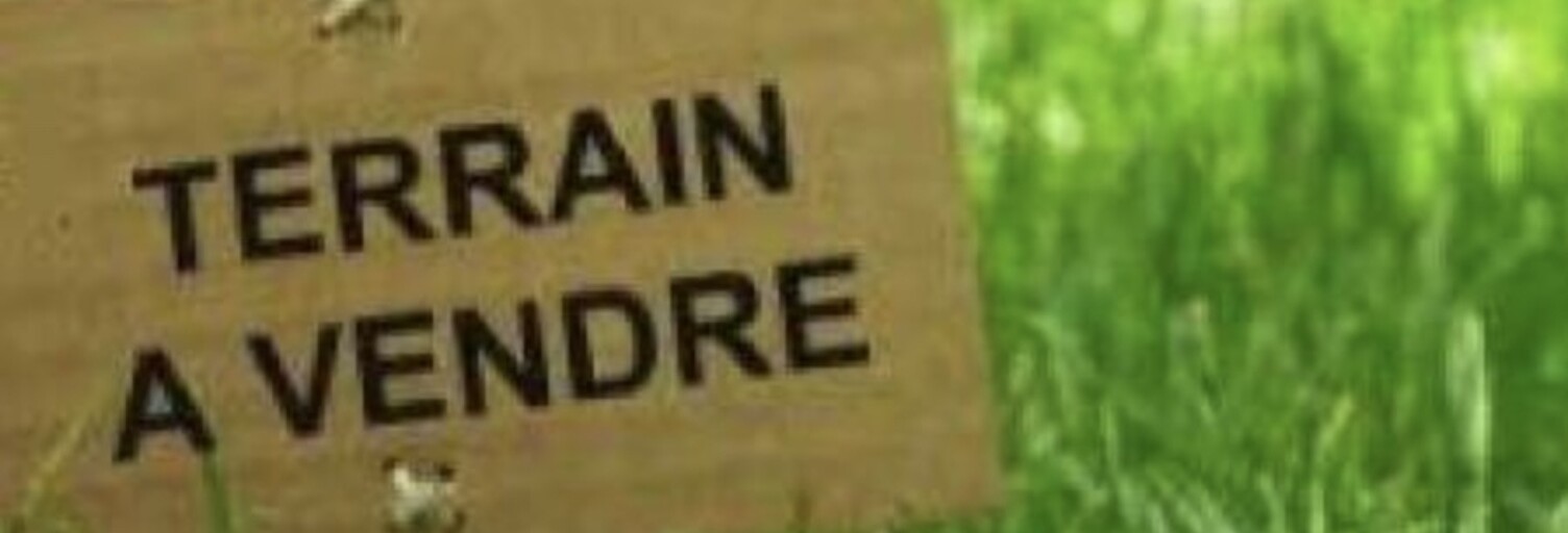 Terrain  7516 m² à vendre à Manthelan (37240)