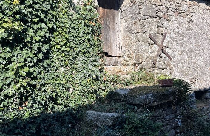 Grange — photo 4