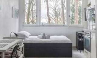 Appartement 1 Pièce 20 m² à louer à Sainte-Foy-lès-Lyon (69110)