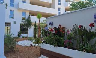 Appartement 2 Pièces 41 m² à louer à Béziers (34500)