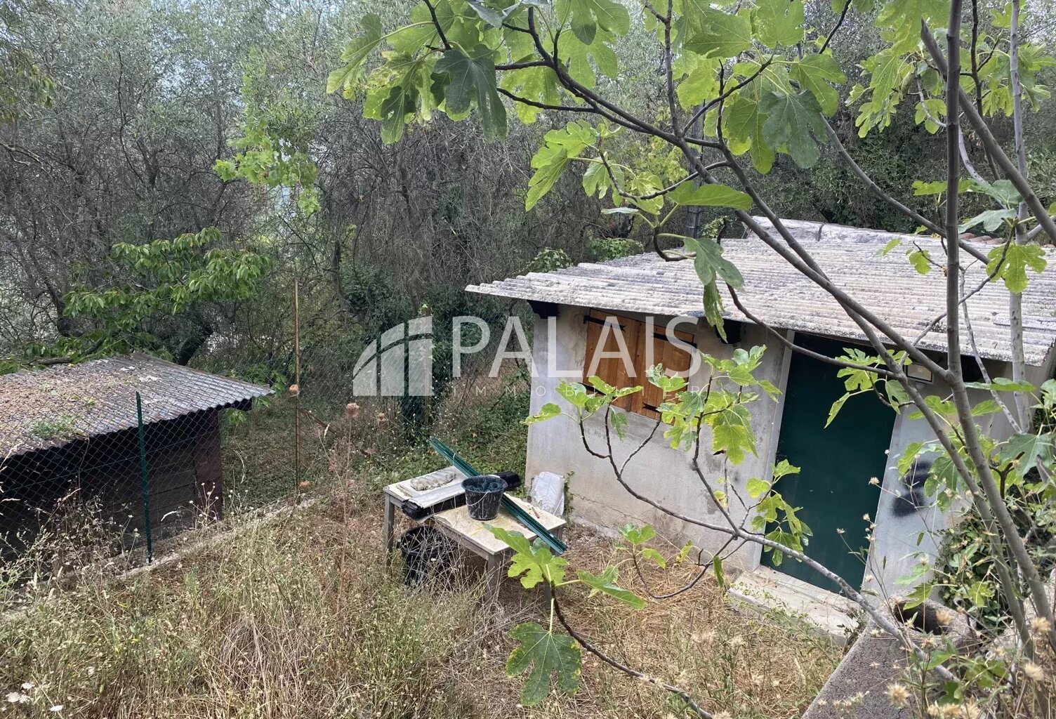 Terrain agricole avec cabanon Peille — photo 1