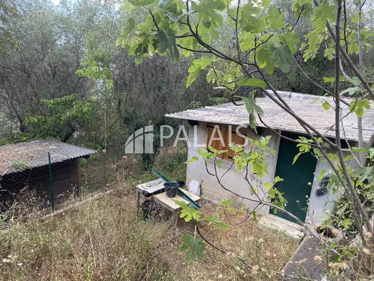 Terrain agricole avec cabanon Peille — photo 1