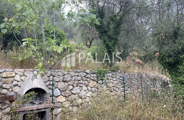 Terrain agricole avec cabanon Peille — photo 4
