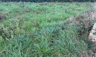 Terrain  461 m² à vendre à Saint-Pol-de-Léon (29250)