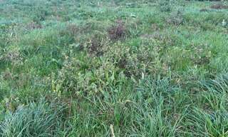 Terrain  626 m² à vendre à Saint-Pol-de-Léon (29250)