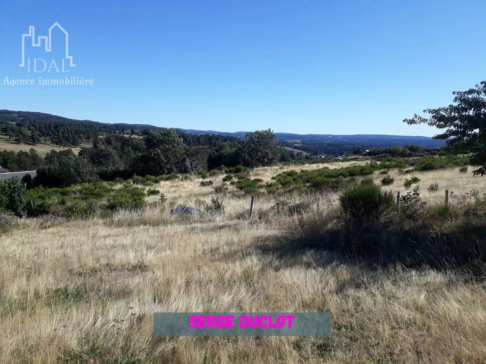 Vente Terrain 1600 m2 à Saint-Denis-en-Margeride · 28 800 €