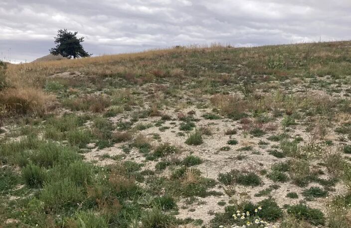 Terrain  constructible de 1713 m² env. Lot A — photo 3